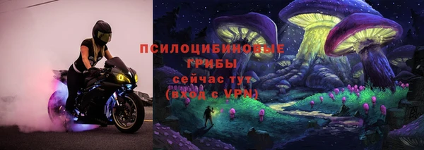 хмурый Белокуриха