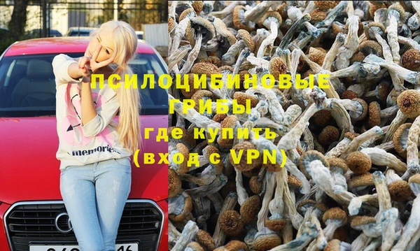 мдпв Беломорск