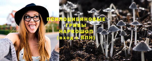 хмурый Белокуриха
