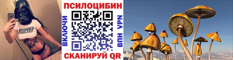 площадка официальный сайт Онега Псилоцибиновые грибы Psilocybe